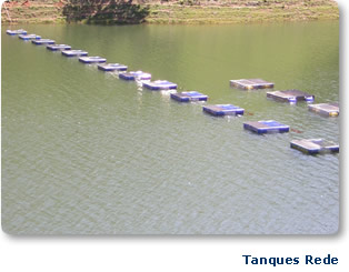 Tanques Rede